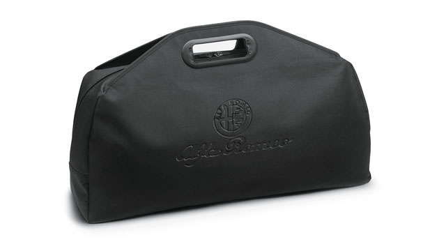 Cable Bag Alfa Romeo 50290629