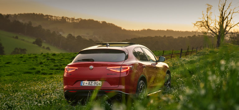 Stelvio edizione Carbonio rear view